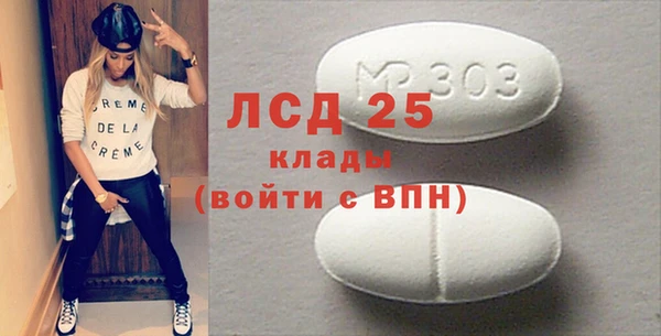 PSILOCYBIN Богданович
