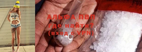 спиды Богородицк