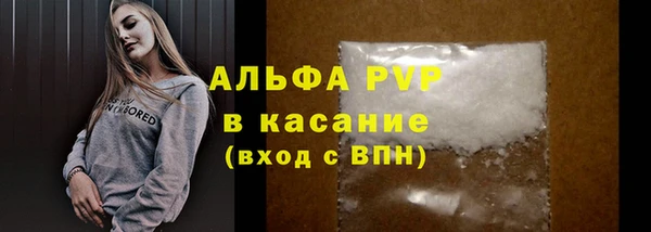 PSILOCYBIN Богданович