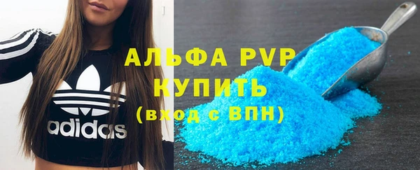 гашик Богородск