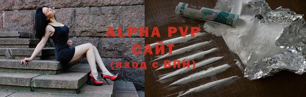 спиды Богородицк
