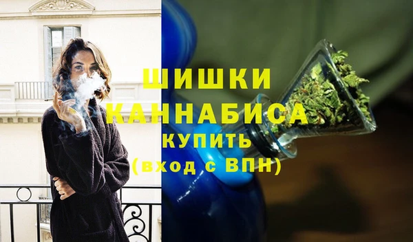 спиды Богородицк