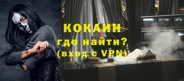 спиды Богородицк