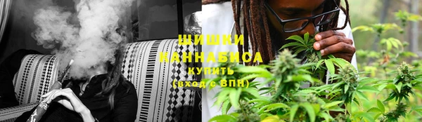 PSILOCYBIN Богданович