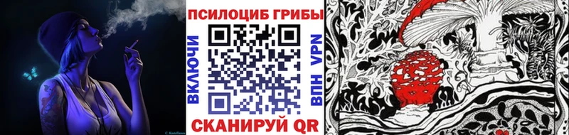 Псилоцибиновые грибы мицелий где купить наркотик Мезень